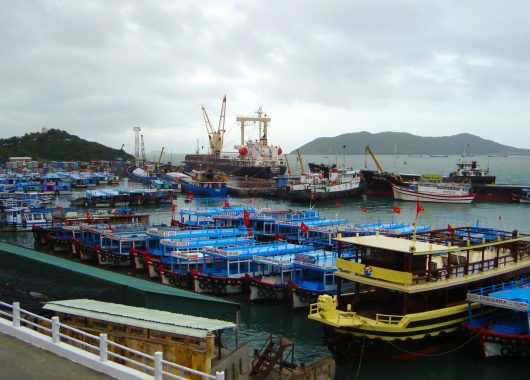 Вьетнамский порт Лотос 6 лет не выплачивал дивиденды Украине
