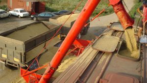 З початку серпня «Укрзалізниця» відвантажила понад 1,3 млн. тонн зерна, але виникли проблеми із вагонами
