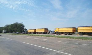 Николаевская область: Водитель фуры, не желая заезжать на весы, высыпал зерно на обочину