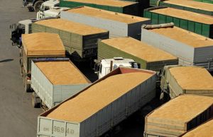 Грузія заборонить ввезення борошна та зерна автомобільним транспортом