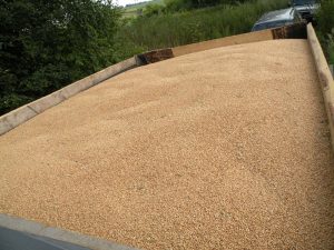Запрет транспортировки пшеницы автотранспортом в Грузии перенесен на 1 октября