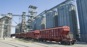 «Укрзализныця» опять ищет виноватых в дефиците зерновозов