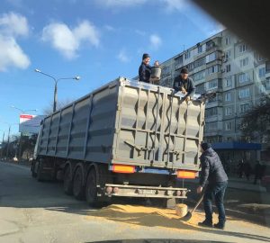 В Запорожской области зафиксирован второй случай засевания улиц зерном