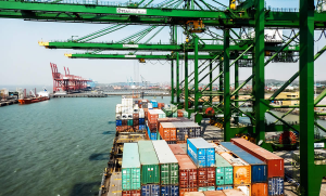 Скопление контейнеров в портах Индии может привести к кризису всей цепочки поставок