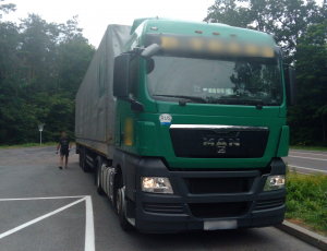 Польська інспекція затримала вантажівку, яка їхала з Чехії без гальм та колодок