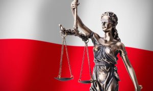 В Польше предъявлены обвинения членам банды, угонявшей фуры в Германии
