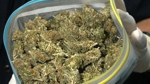 В американському порту Буффало вилучено майже півтонни марихуани