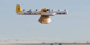 У Wing в Австралії проблеми з доставкою дронами через агресивних птахів