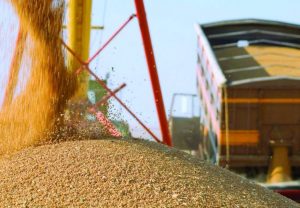 Украинские аграрии намерены экспортировать зерно по Дунаю