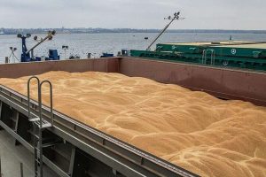 Вартість страхування суден, що перевозять українське зерно, зросла у 200 разів