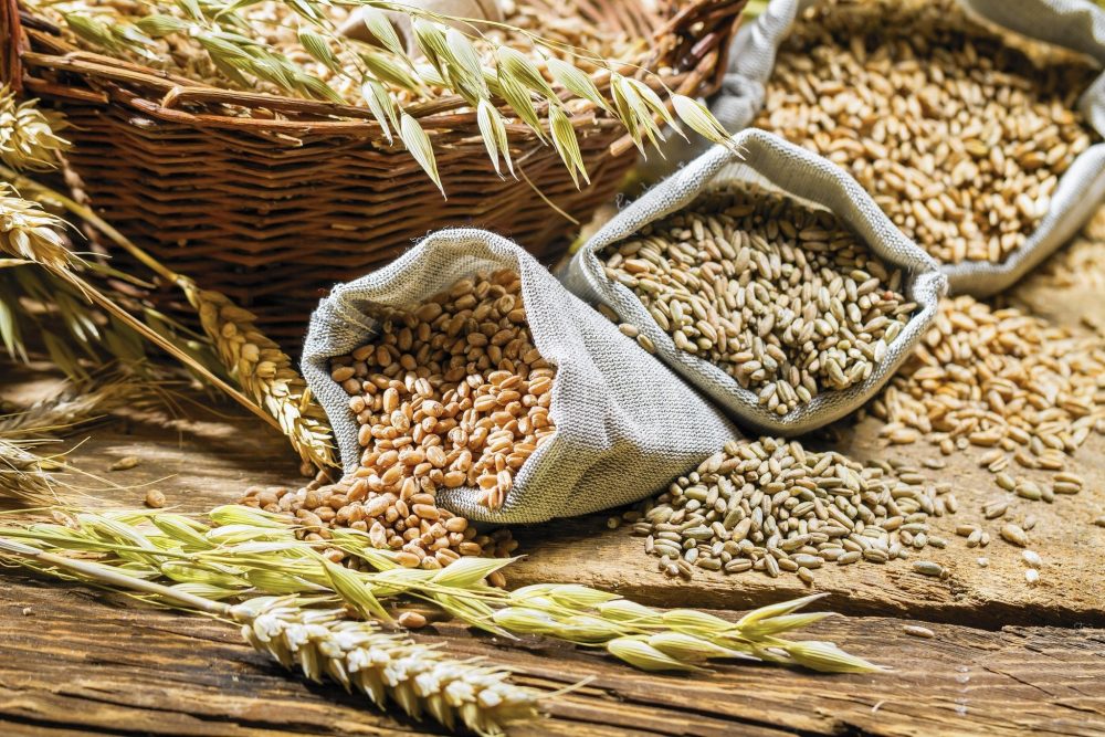 В Украине инициируют создание зерновой ОПЕК