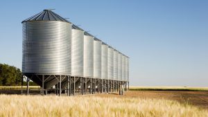 На венгерско-украинской границе предлагают построить перерабатывающие заводы для зерновых