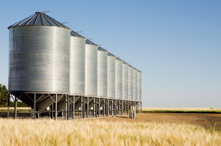 Україні може вистачити сховищ для нового врожаю зерна