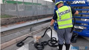 Италия: полиция задержала иностранного дальнобойщика, который уже был замечен в краже топлива
