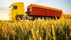 Польша разблокирует транзит для украинского зерна