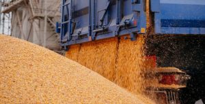 Эксперты: перевозка украинского зерна остается под угрозой
