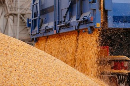 Эксперты: перевозка украинского зерна остается под угрозой