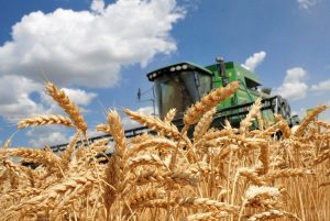 Експерт: 4 способи прискорити транзит українського зерна