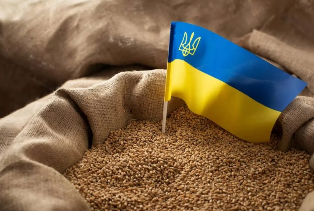 Польша: Украину обвиняют в задержке решения ЕС о распределении субсидий фермерам