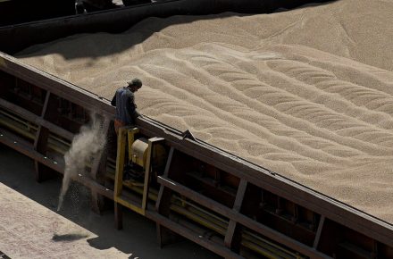 НБУ: из-за остановки «зернового коридора» Украина недополучит $2 млрд