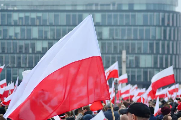 Польские перевозчики призывают продолжать протесты в поддержку отрасли против украинцев