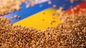Пять стран ЕС снова требуют ввести пошлину на экспорт украинской агропродукции