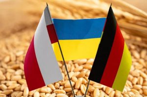 Польські та німецькі фермери вийшли на протест, суттєво ускладнюючи рух А4