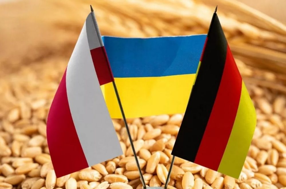 Польские и немецкие фермеры вышли на протест, существенно затрудняя движение по А4