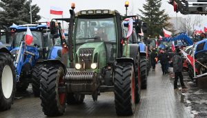 Польша: фермеры планируют почти на месяц перекрыть границу с Германией