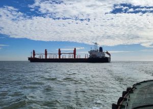 Экспорт морским коридором Украины достиг 45 миллионов тонн