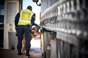 Нидерланды: мошенник использовал случайные грузовики, чтобы перевозить нелегалов