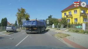 Чехия: водитель грузовика потерял сознание из-за укуса насекомого