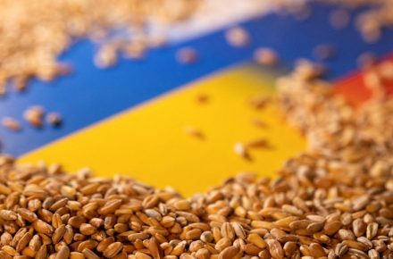 УЗА выступает против ликвидации Министерства аграрной политики и продовольствия Украины