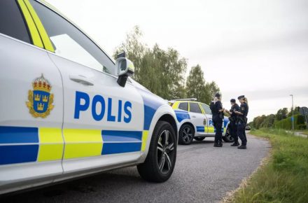 ROADPOL представил план проверок на 2026 год