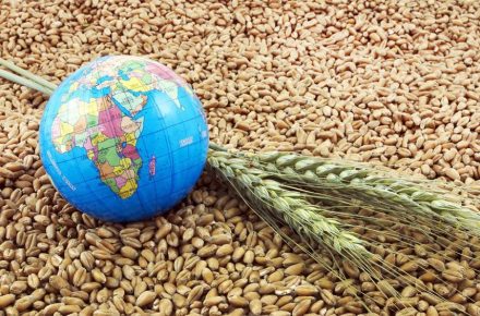 Україна у 2025 році відкрила 17 нових ринків для експорту