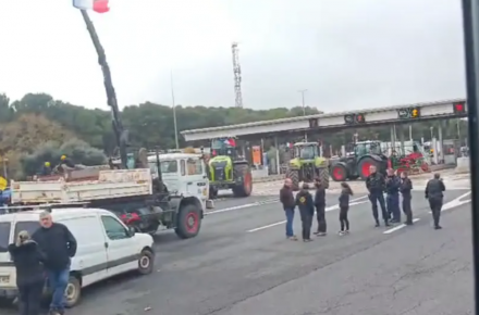 Протесты французских фермеров парализовали движение грузовиков на юго-западе страны