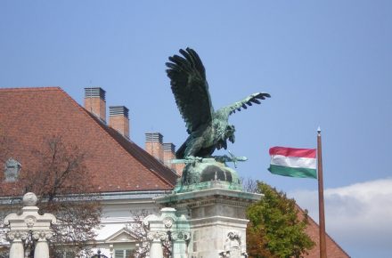 Венгрия переходит на NCTS Фаза 6