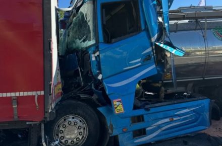 Германия: как система DAF ProCaDis повлияла на исход аварий на трассе A24 и спасла жизнь водителя