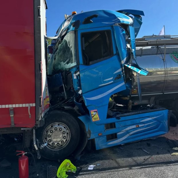 Германия: как система DAF ProCaDis повлияла на исход аварий на трассе A24 и спасла жизнь водителя