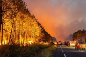 Франція: через лісові пожежі траса A63 залишається закритою у напрямку до Бордо