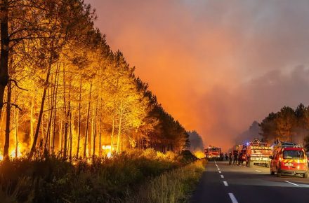 Франция: из-за лесных пожаров трасса A63 остается закрытой в направлении Бордо
