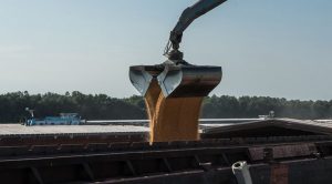 Дунай не зможе повністю замінити порти Великої Одеси для експорту зерна