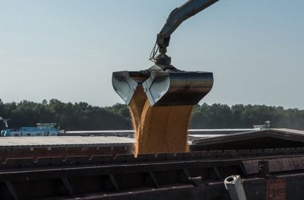Дунай не сможет полноценно заменить порты Большой Одессы для экспорта зерна