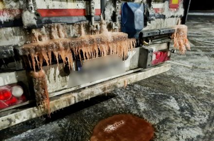 Норвегия: штраф в размере почти 1,9 тыс. евро за утечку воды при перевозке рыбы